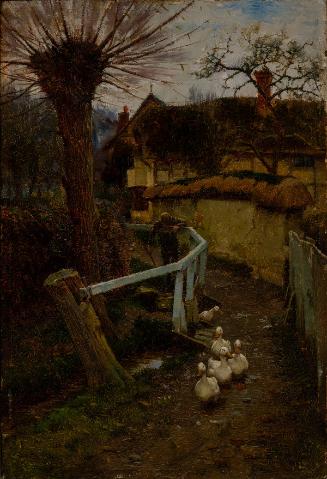 Boy and Ducks