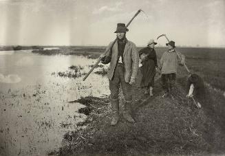 Coming Home from the Marshes (Plate I)