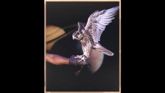 Falcon (wings)
