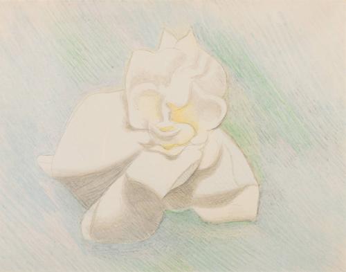 Gardenia
