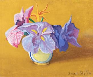Still Life with Irises