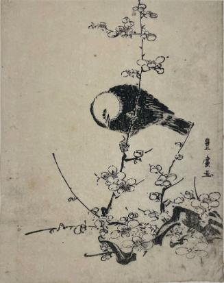 Plum Blossoms and White-headed Bird