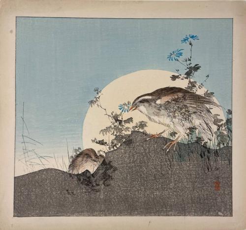 Quails and Asters in Full Moon