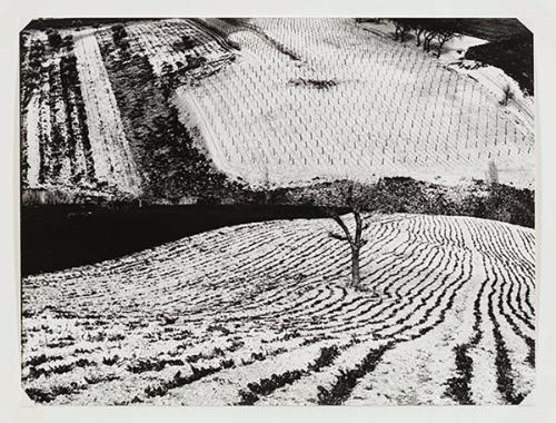 Mario Giacomelli Archive © Rita and Simone Giacomelli