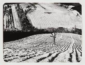 Mario Giacomelli Archive © Rita and Simone Giacomelli