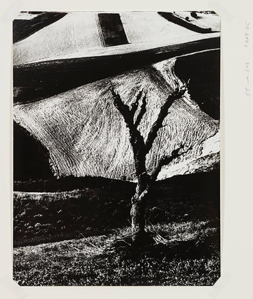 Mario Giacomelli Archive © Rita and Simone Giacomelli