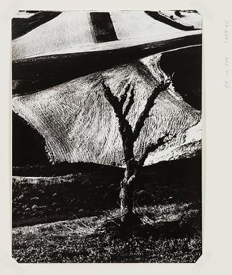 Mario Giacomelli Archive © Rita and Simone Giacomelli