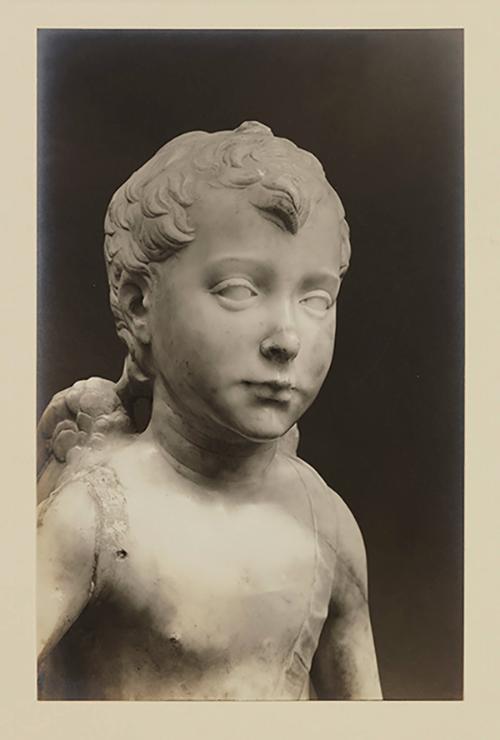 Putto at foot of bier; Head, facing one third right