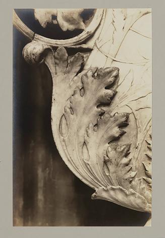 Urn; Foliage; Acanthus leaf enclosing lower left edge