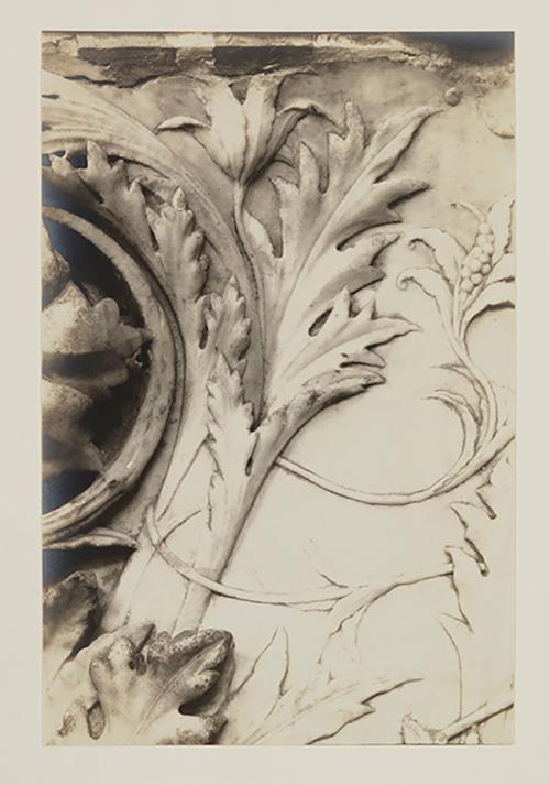 Urn; Foliage; Flower and tendril near upper left edge
