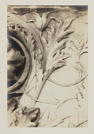 Urn; Foliage; Flower and tendril near upper left edge
