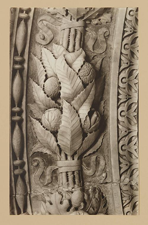 Cluster of chestnuts