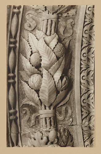 Cluster of chestnuts