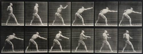 Animal Locomotion (Man Exercising)