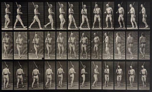 Animal Locomotion, (Man walking with gun)