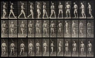 Animal Locomotion, (Man walking with gun)