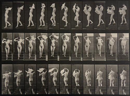 Animal Locomotion, (Woman walking)