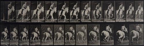 Animal Locomotion, (man riding horse)