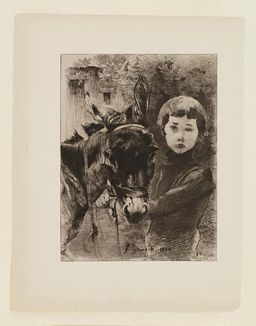 Robert et son Ane