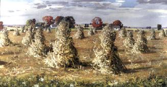 Cornfield