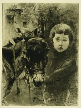 Robert et son Ane