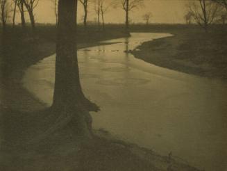 Trees at Bend of River