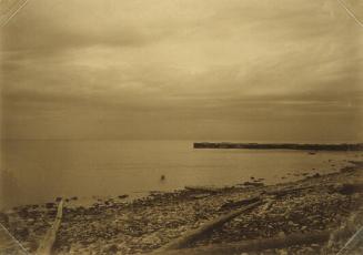 Fallen Trees, Rocky Shore and Jetty on Lake