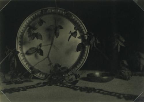 Plate, Branches on Embroidered Tablecloth