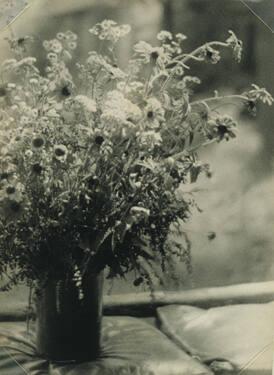 Flowers on Cushions