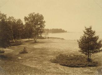 Clearing with Grass, Trees and Lake