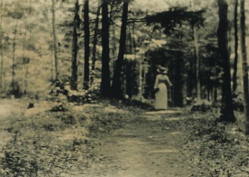 Woman Walking into Forest