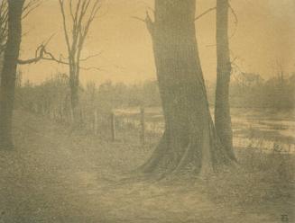 A Quiet Road
