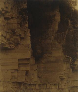 Trees on Rocky Cliff