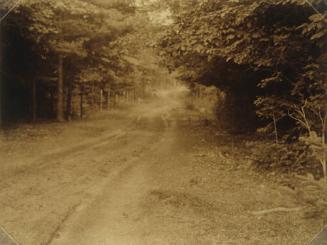 Dirt Road through Trees