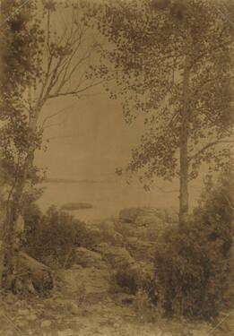 Lake Framed by Trees and Rocks