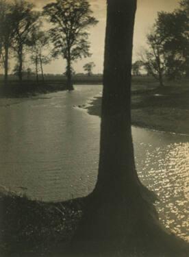 River Reflecting Sun and Trees