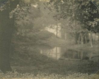 River Scene Framed by Two Trees