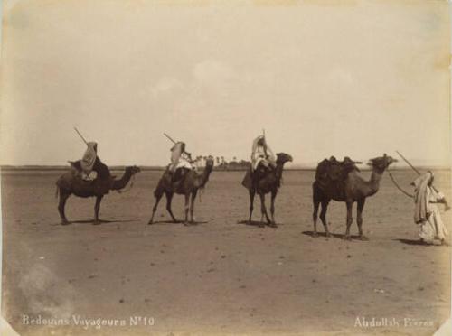 #10 Bedouins Voyageurs