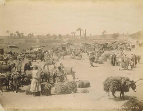 Bazar au Ghezireh