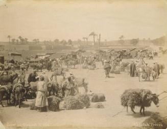 Bazar au Ghezireh
