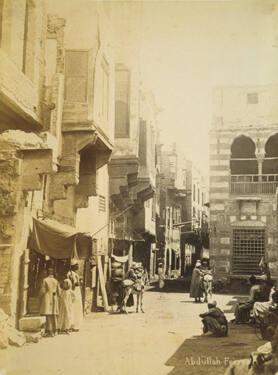 Street Scene vertical with two donkeys