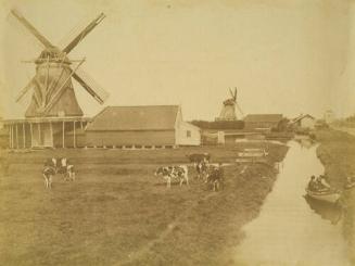 Cows and Windmills and Picnicers - Holland