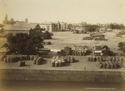 The Cotton Green from Grant's Building
