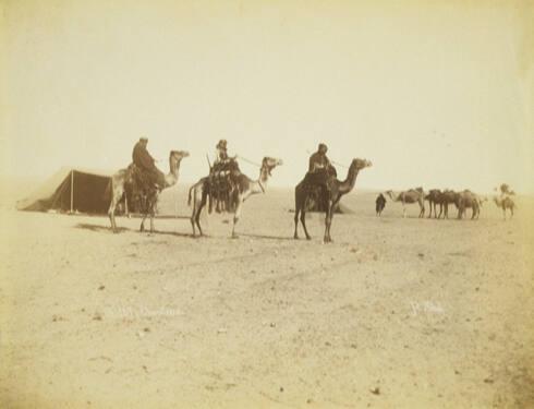 Arabs on Camels