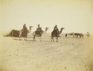 Arabs on Camels