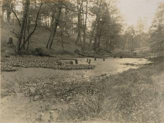 Forested Landscape with Pond