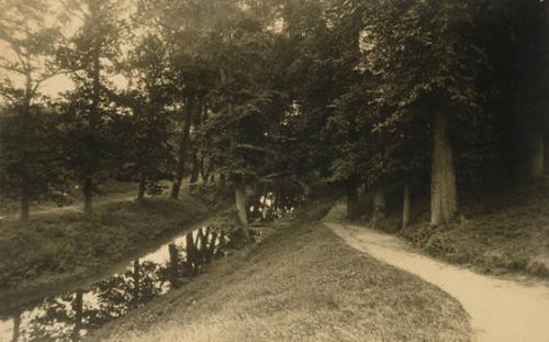 Wooded Path Bordering a Stream