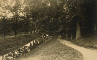 Wooded Path Bordering a Stream