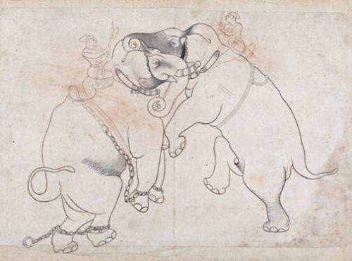 Two Elephants in Combat
