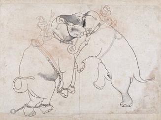 Two Elephants in Combat